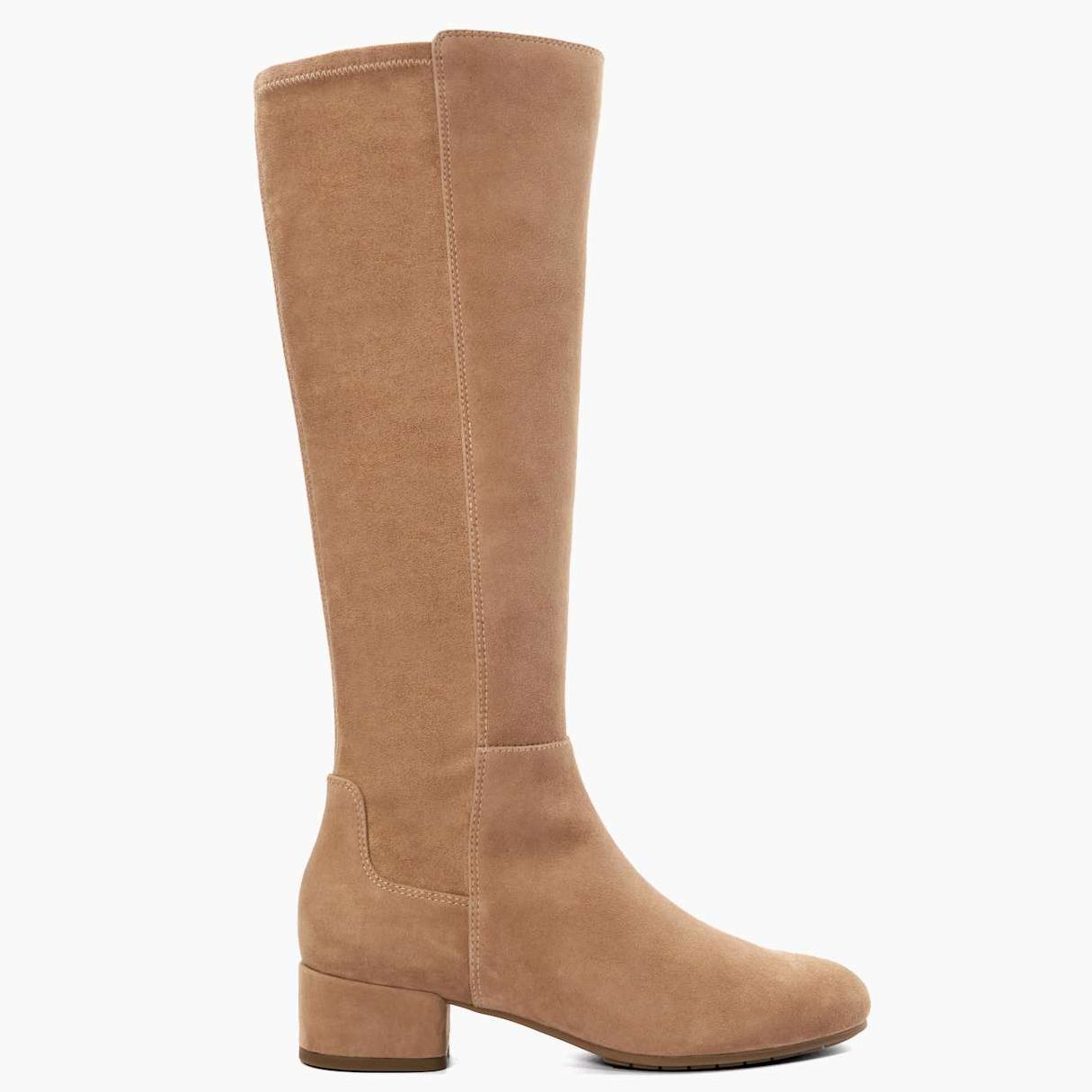 Dune Tayla Suede Knee High Boots