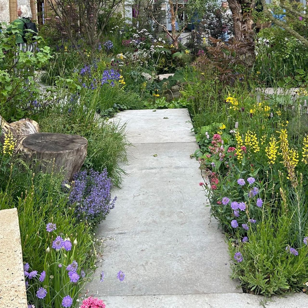 The Avanade Intelligent Garden at the RHS Chelsea Flower Show 2025