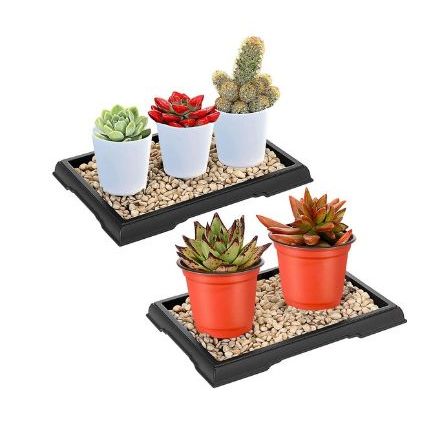 Pebble Humidity Tray 
