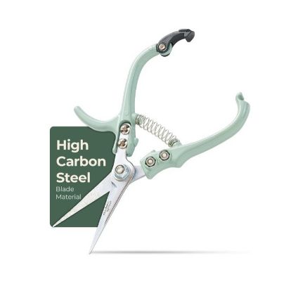 Pruning Snips