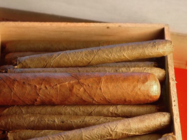 Why Are Cuban Cigars Considered the Best?