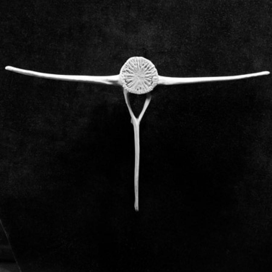 Charlotte Perriand and Photography 写真集 Charlotte Perriand and Photography: A Wide-Angle Eye