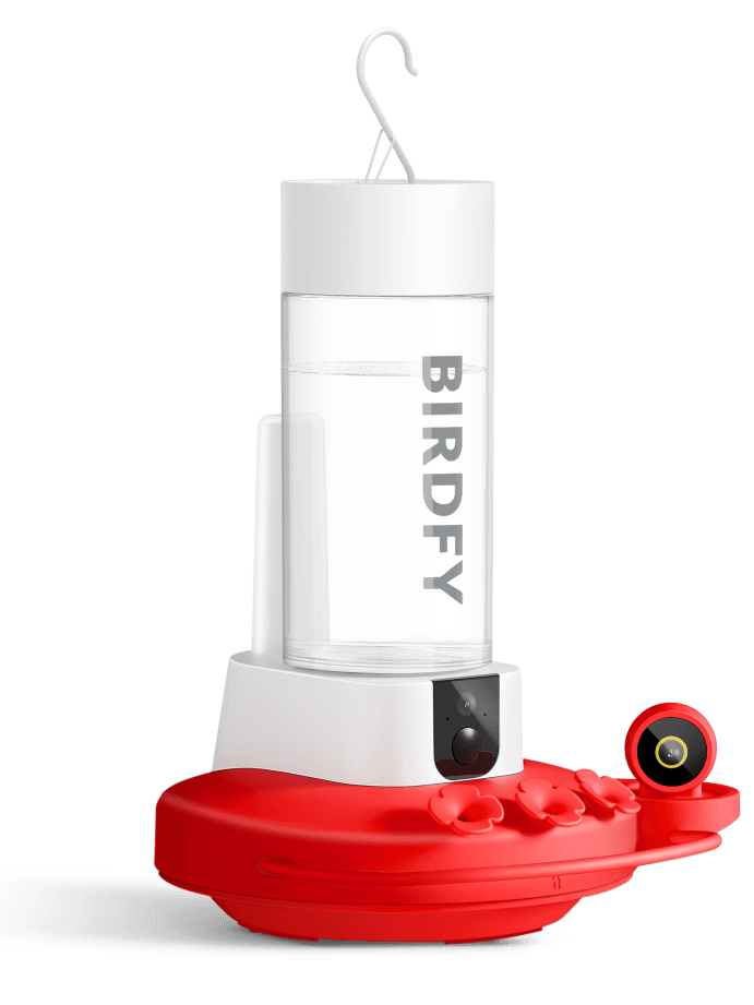 Birdfy Hum Feeder Duo &amp;ndash; Smart Hummingbird Feeder With Dual Cameras