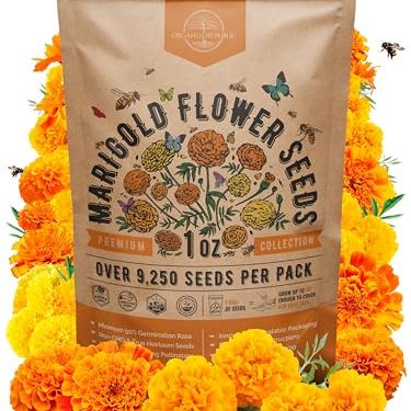 Marigold Seeds Pack 1 Oz - Over 9,250 Non-Gmo Heirloom Marigold Seeds for Planting Indoor &amp;amp; Outdoor Gardening, Flower Seed for Planting Home and Garden, Flowers Seed in Individual Packet