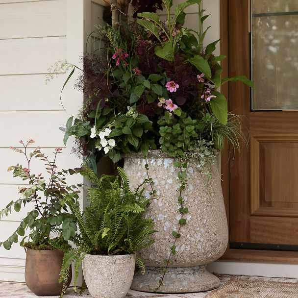 Tall planter with two small planters on a doorstep