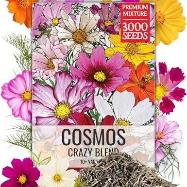 Seed Needs Flower Seeds Cosmos Crazy Blend No Filler 10+ Varieties Cosmos | Cosmo Bipinnatus Open Pollinated Untreated | Resealable Packaging Keeps Seeds Fresh | Bulk Cosmos Flowering Seed Mix