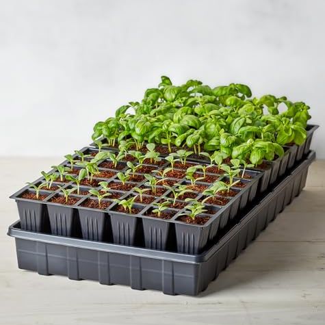 Burpee Self-Watering Seed Starter Tray, 72 Cells