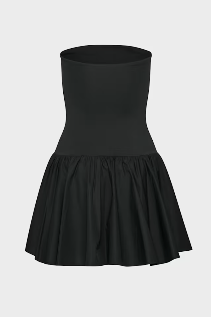 Aritzia, Babaton Private Poplin Dress