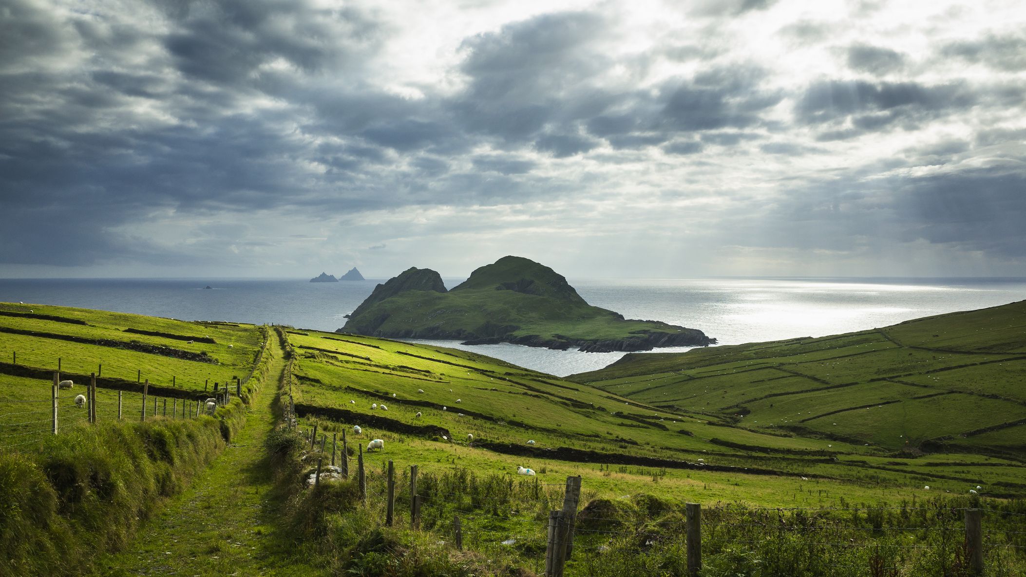 A grassy knoll leading out to the sea and a densely green island in Ireland.