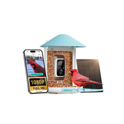 Birdfy Classic Smart Bird Feeder