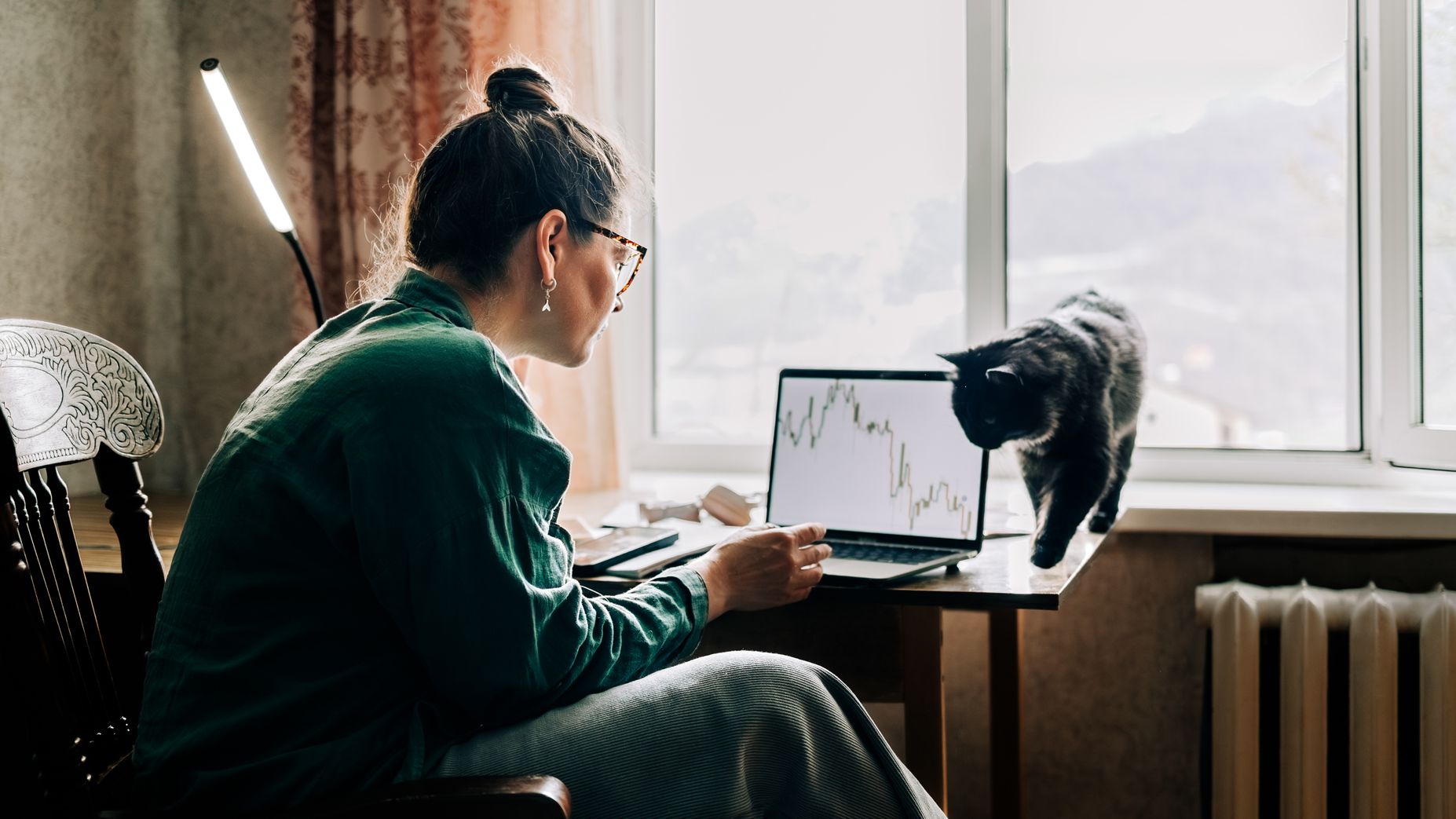 A woman looking at stock performance on her laptop with a cat peering around the screen
