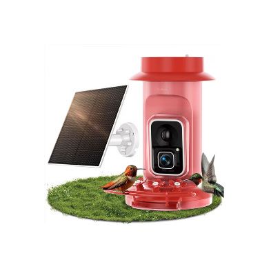 Humbirdy Hummingbird Feeder Camera 