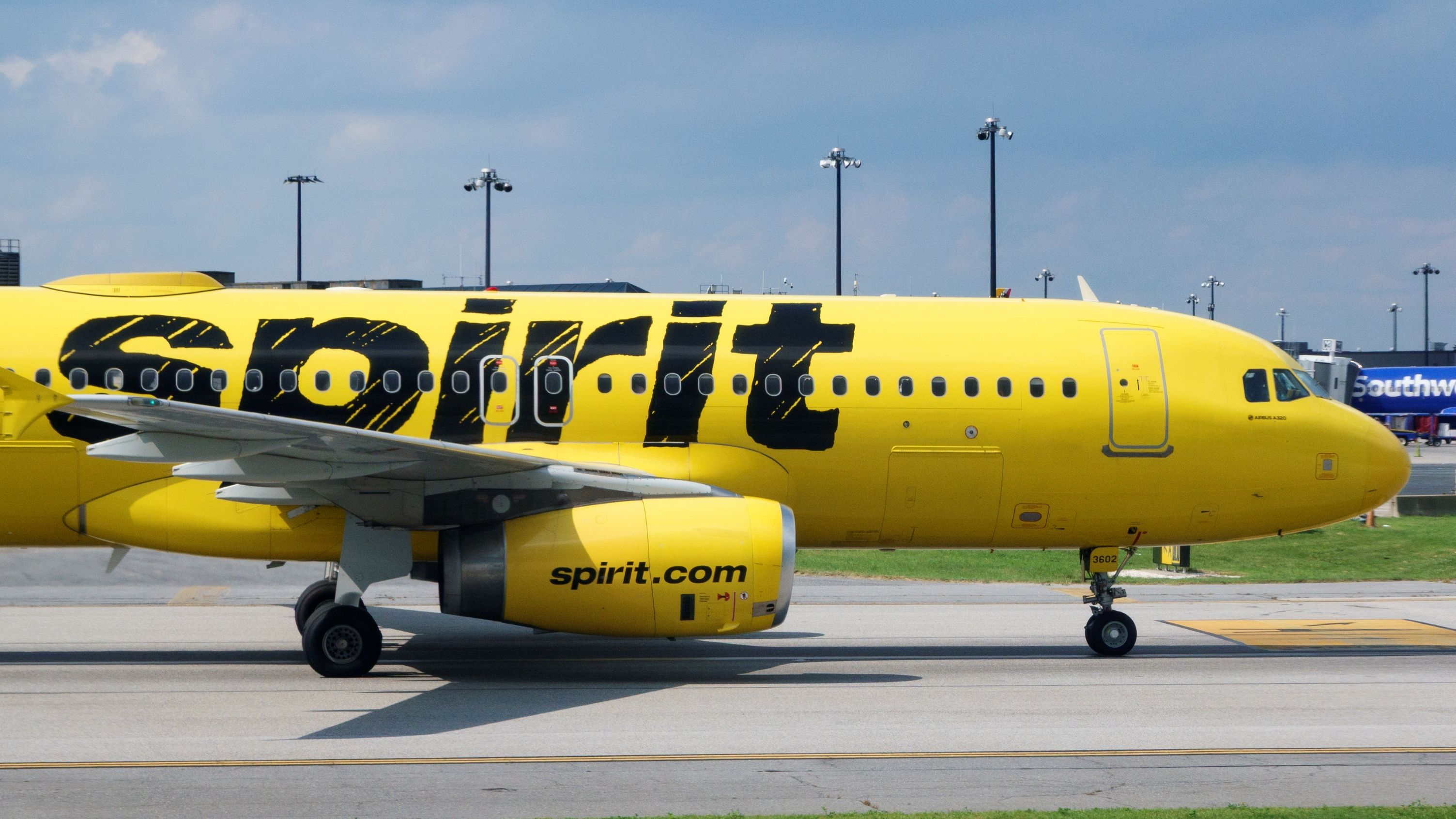 A Spirit Airlines plane on a runway.