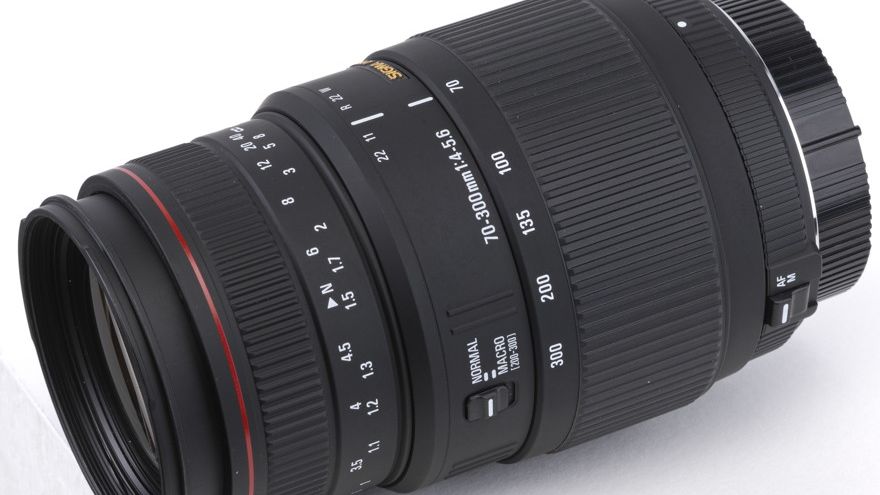 その他 SIGMA 70-300mm F4-5.6 APO DG MACRO Amazon.com : Sigma 70-300mm f/4-5.6 DG Macro Telephoto Zoom Lens