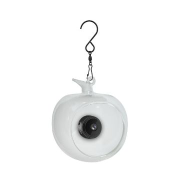 Palifeur Hanging Bird Feeder With Camera