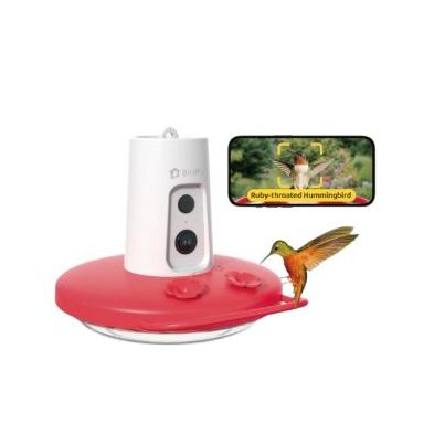 Birdfy Smart Hummingbird Feeder 