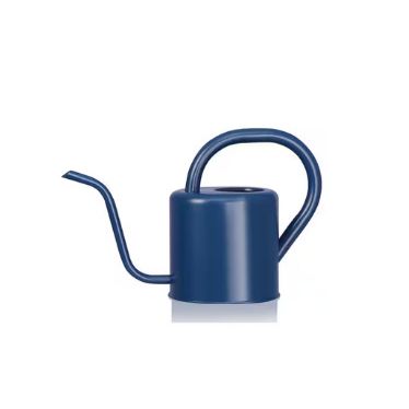 Blue Stainless Steel Watering Can