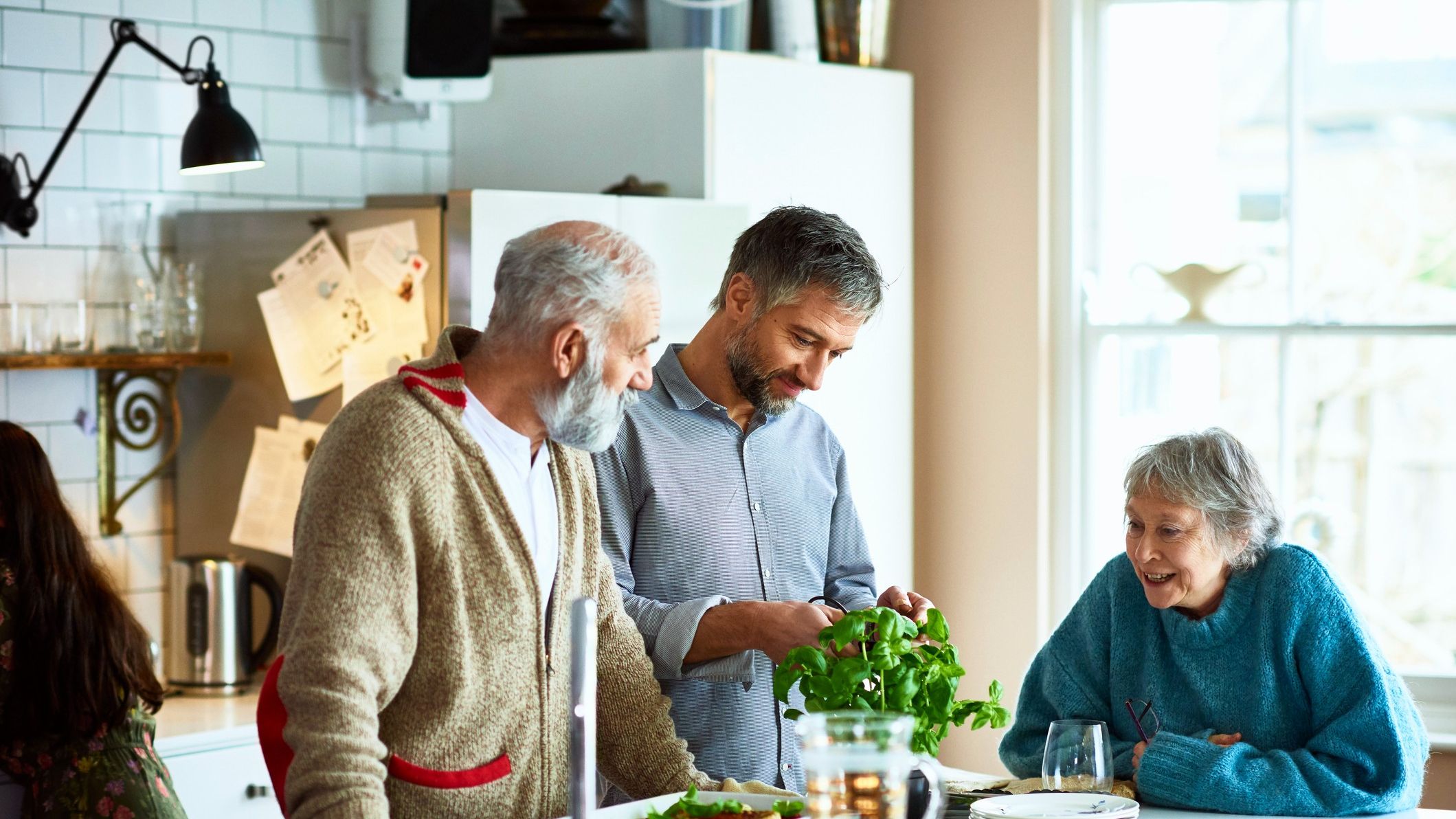 Mature man and woman visiting their son on the weekend, cutting fresh basil from the plant and garnishing home made meal, crockery on kitchen island.