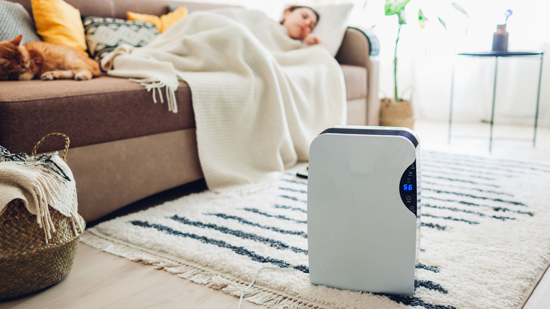 Dehumidifier with touch panel, humidity indicator, uv lamp, air ionizer, water container works at home.