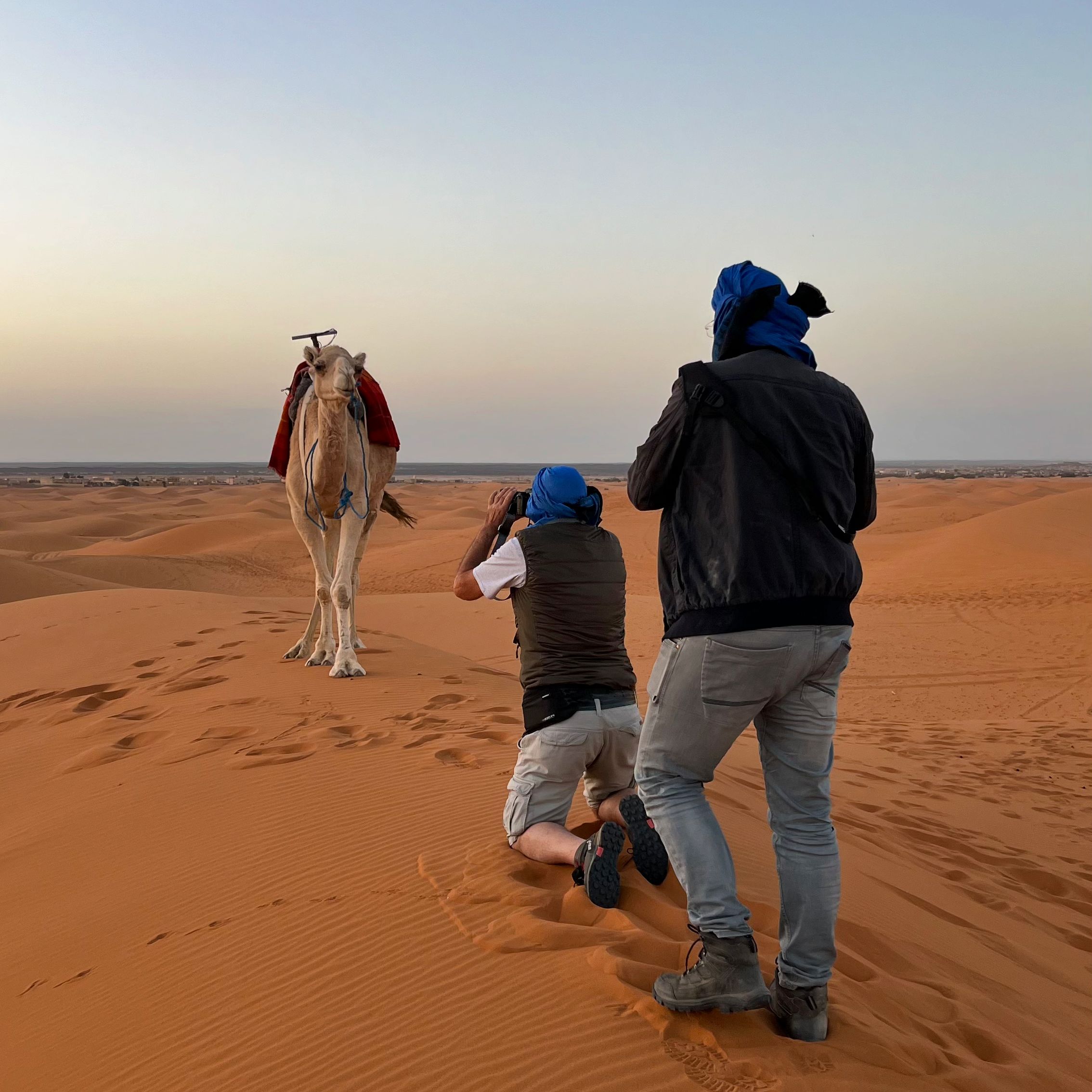 If you have a subject like a patient camel, try shooting from various positions and angles