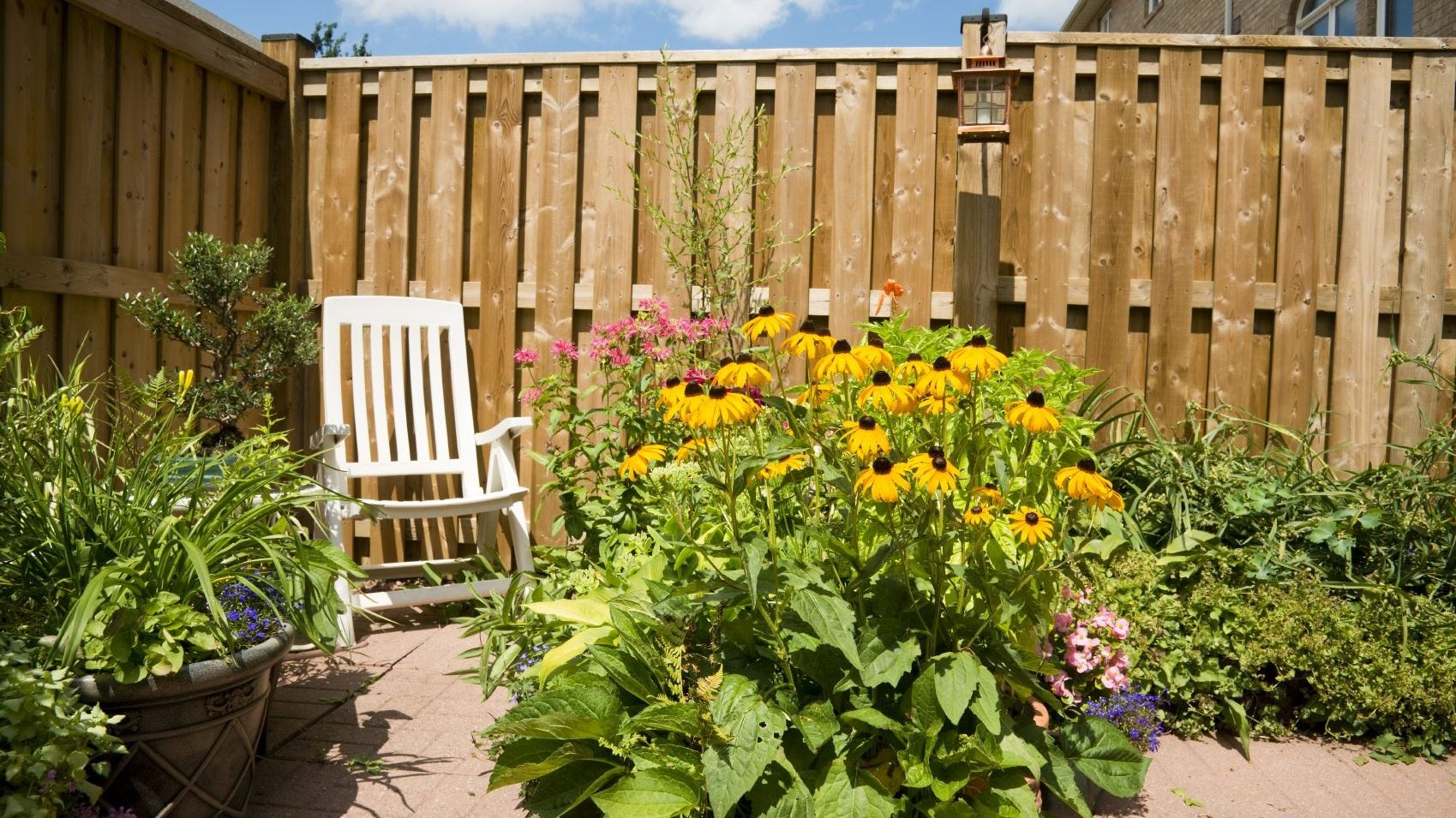 大型本 Ornamental Plants in the Landscape Ornamental Plants and Flowers | Yard and Garden