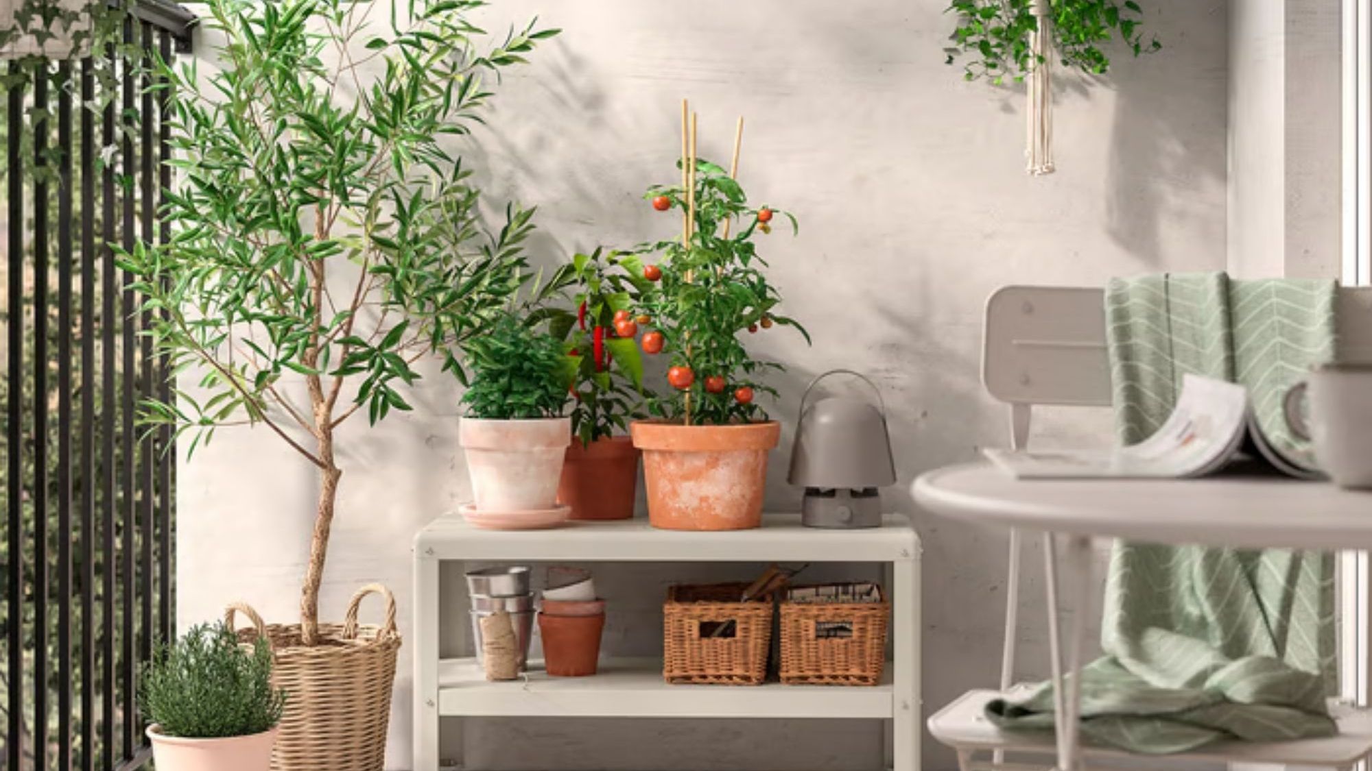 IKEA's New Outdoor Collection: What to Shop for Spring 2026 | Gardening  Know How