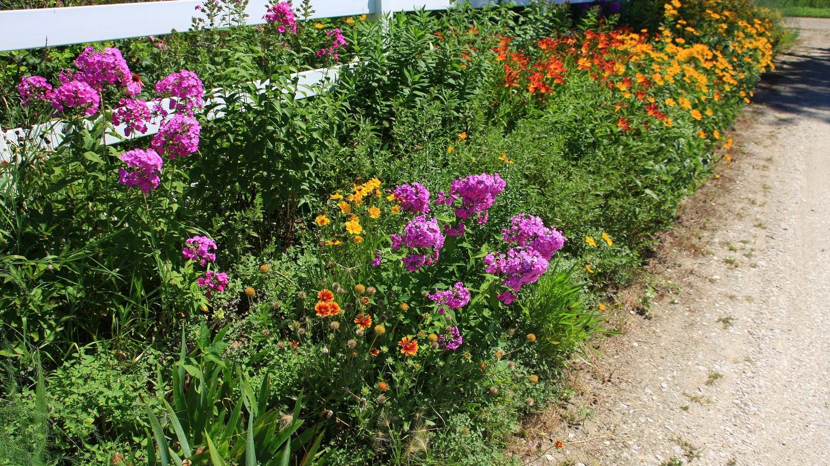 Zone 5 Gardens - What Are The Best Plants For Zone 5 | Gardening Know How