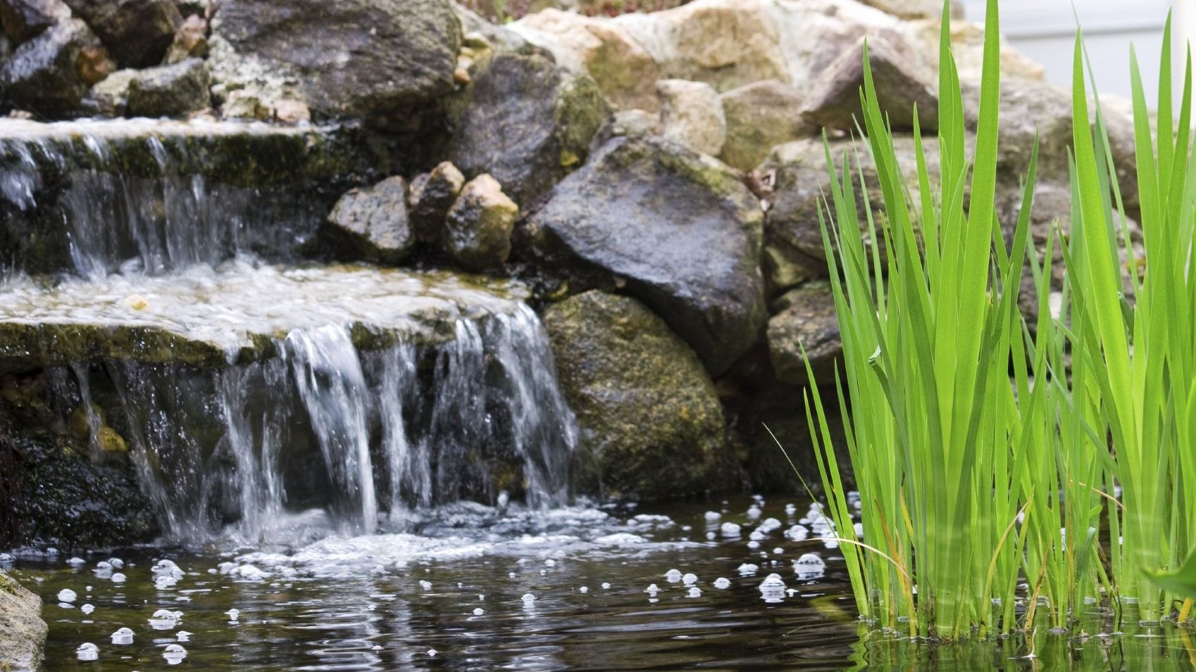 Backyard Pond Waterfalls - How To Build A Pond Waterfall In The Garden |  Gardening Know How, image size:1698x955
