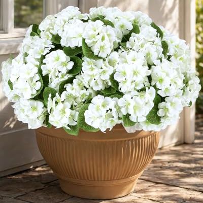 Florispera Artificial Flowers for Outdoors &amp;ndash; 6 Bundles of Uv-Resistant Artificial Geraniums, Realistic Silk Flowers for Front Porch, Patio, Garden, Window Boxes &amp;amp; Hanging Baskets (white, 6)
