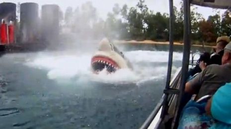 Patch Amity Island Shark Tours Aventure d'une vie à repasser