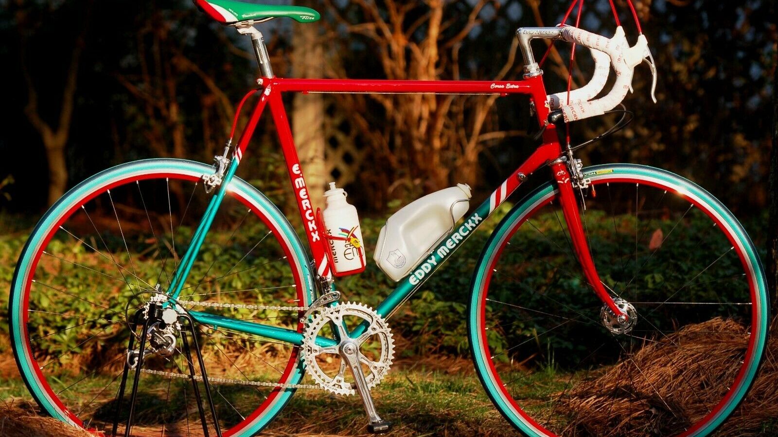 eBay Finds: Replica 7-Eleven team-edition Eddy Merckx Corsa Extra