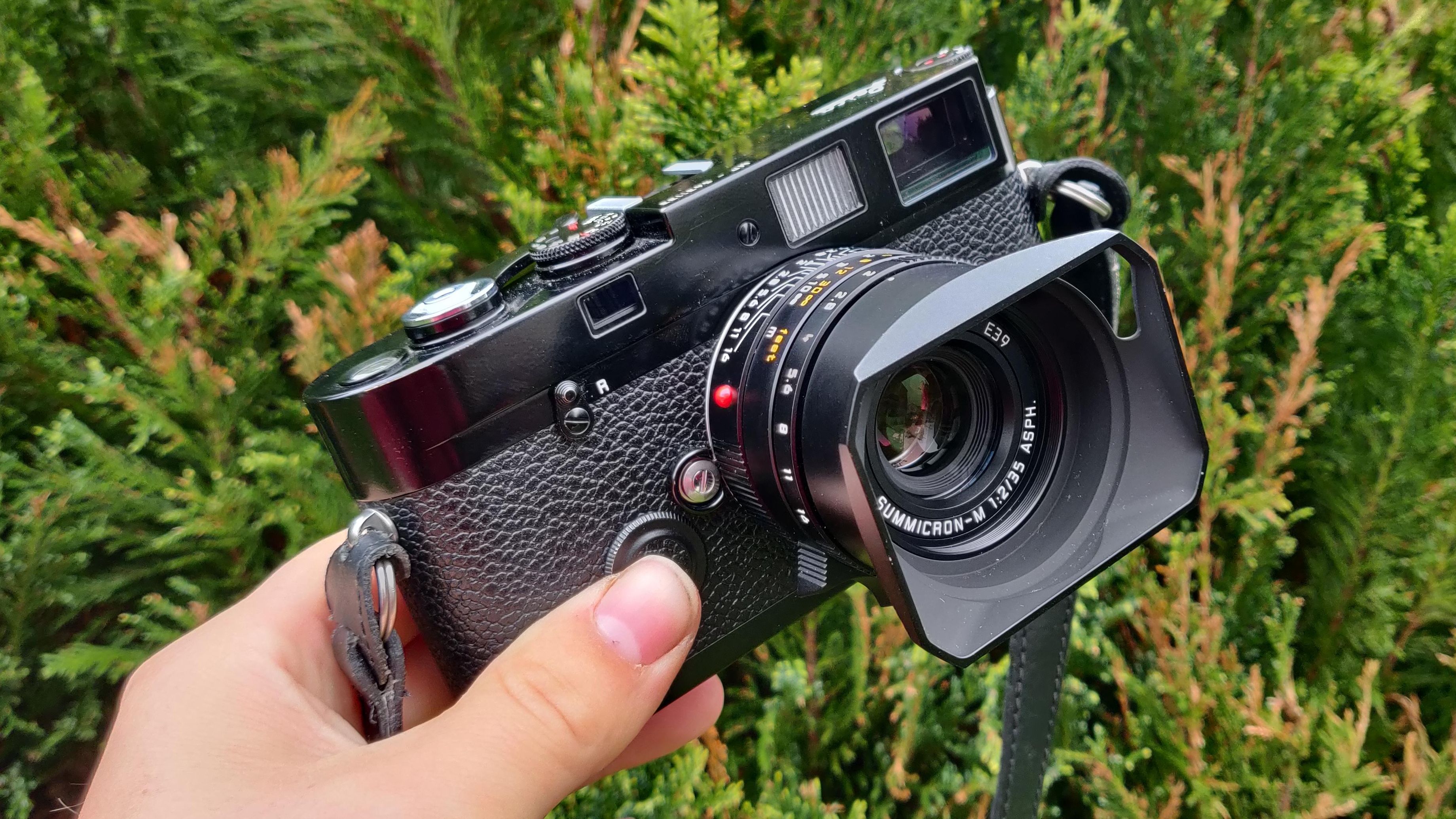 Leica MP