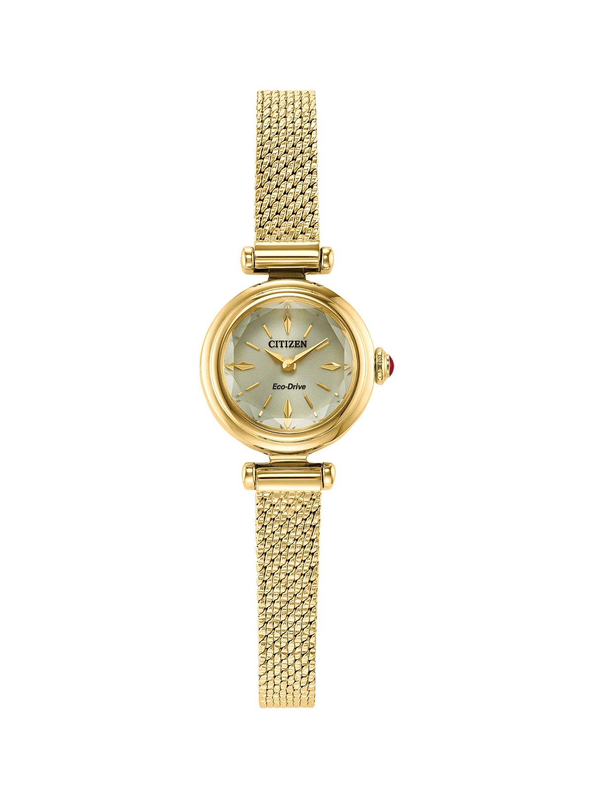Citizen, Fio