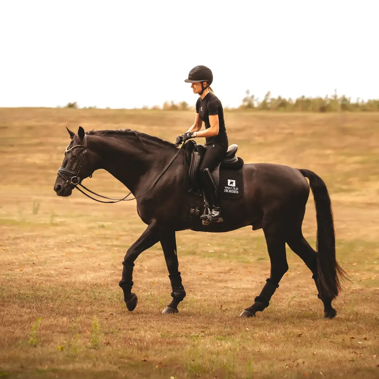 Lottie Fry hacking Glamourdale in open grassy space