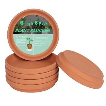 Vensovo 6 Inch Terracotta Plant Saucer Pots Tray - 6 Pcs Round Planter Saucers for Indoor &amp;amp; Outdoor Plants, Small Clay Trays Perfect for 5 Inch 5.5 Inch 6 Inch Flower Pot