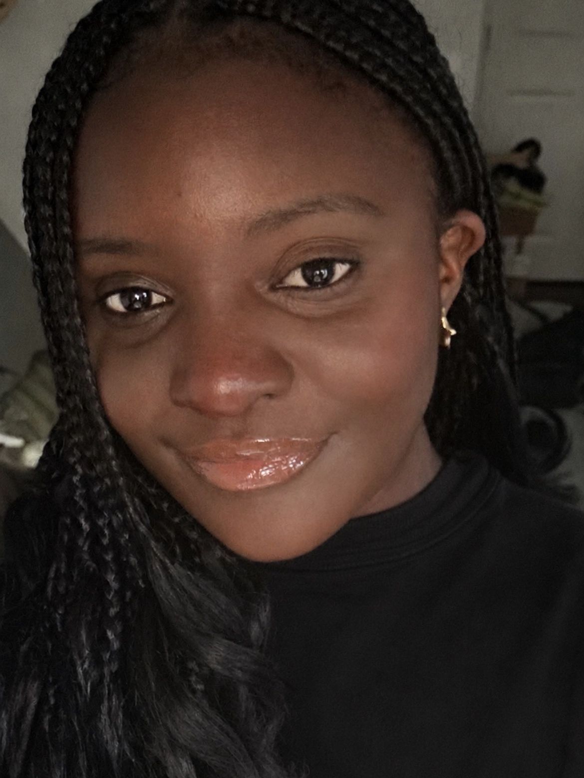 Summer 2026 Protective Braid Styles