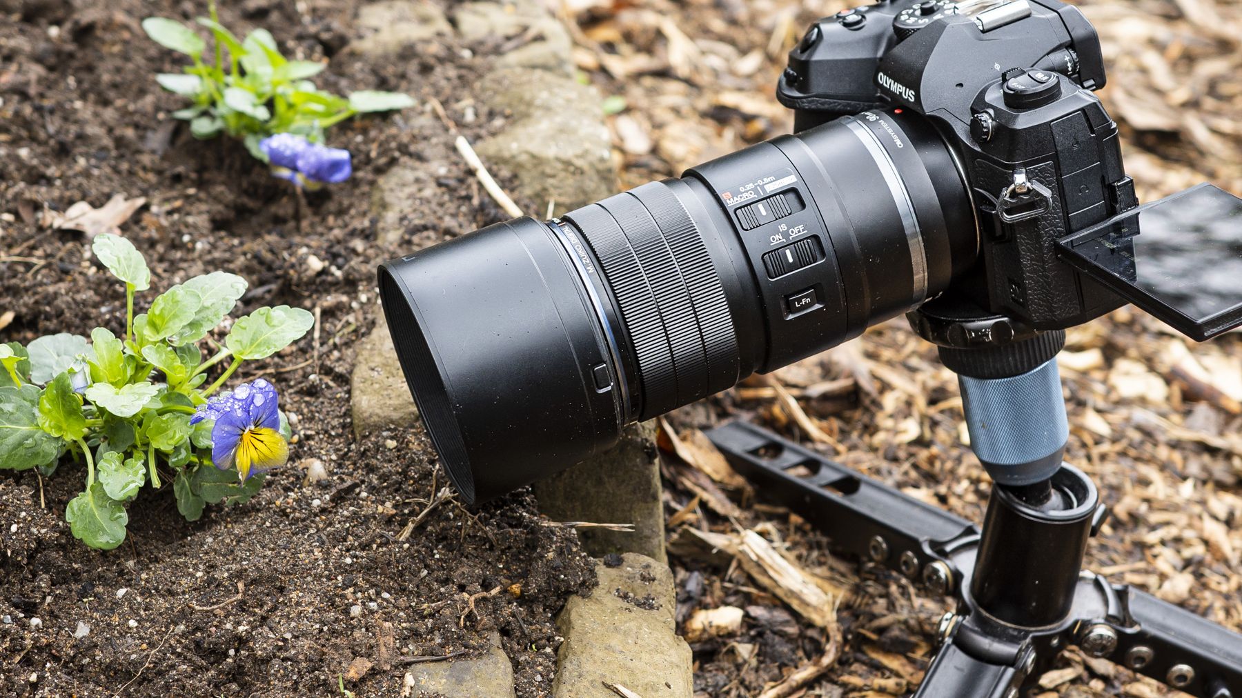 OM System 90mm F3.5 Macro IS PRO review: macro photography magic