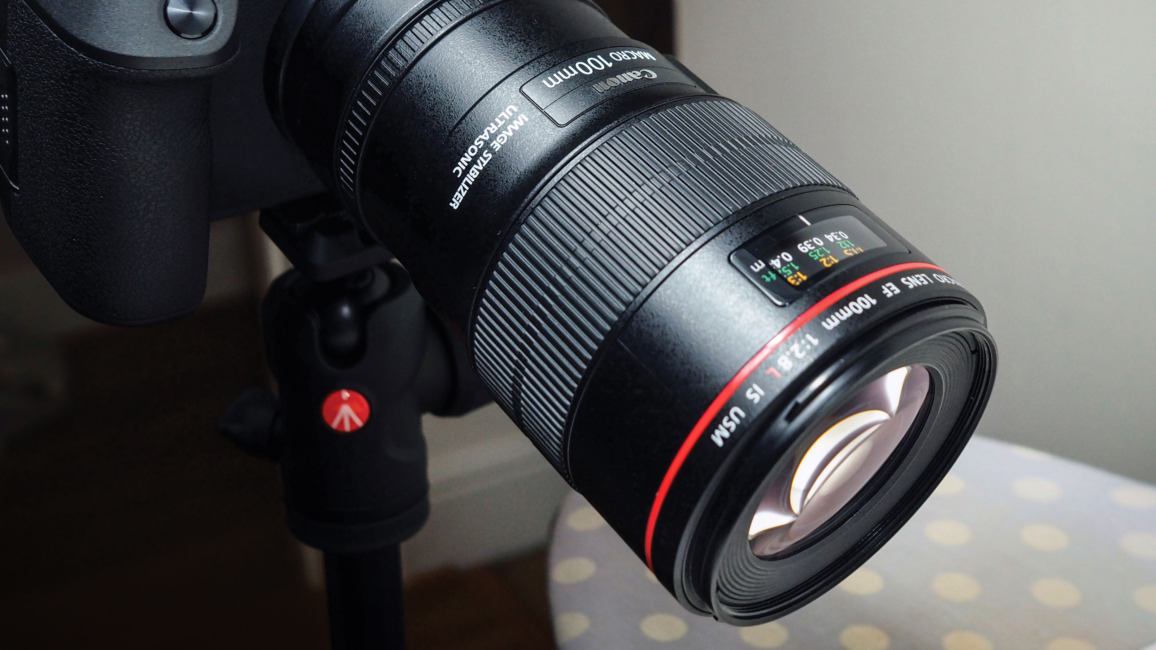 Canon EF 100mm f/2.8L Macro