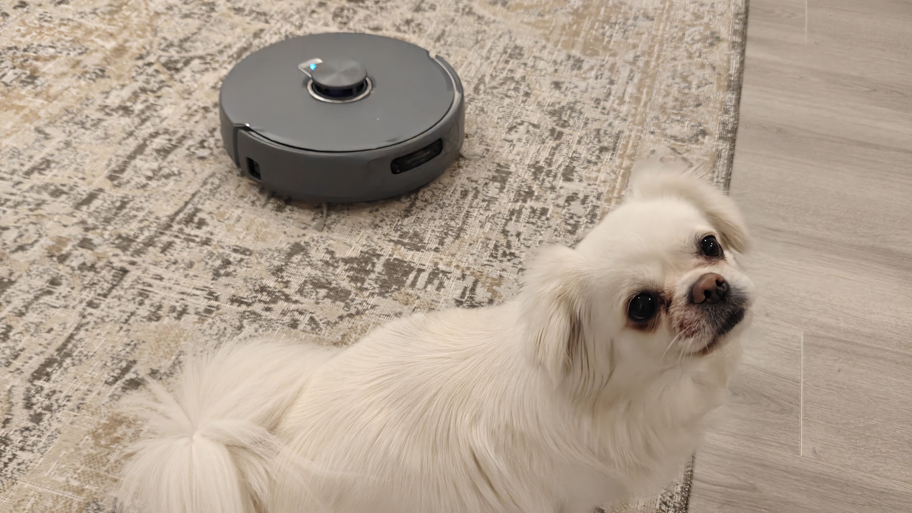 Narwal Freo Z 10 Ultra