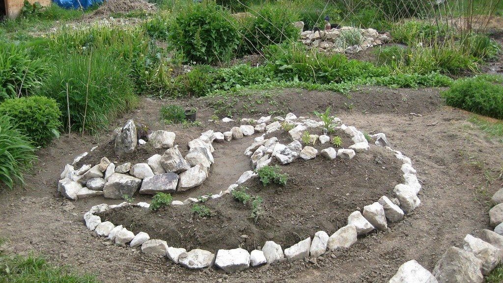 What Is A Spiral Herb Garden: Spiral Herb Garden Plants