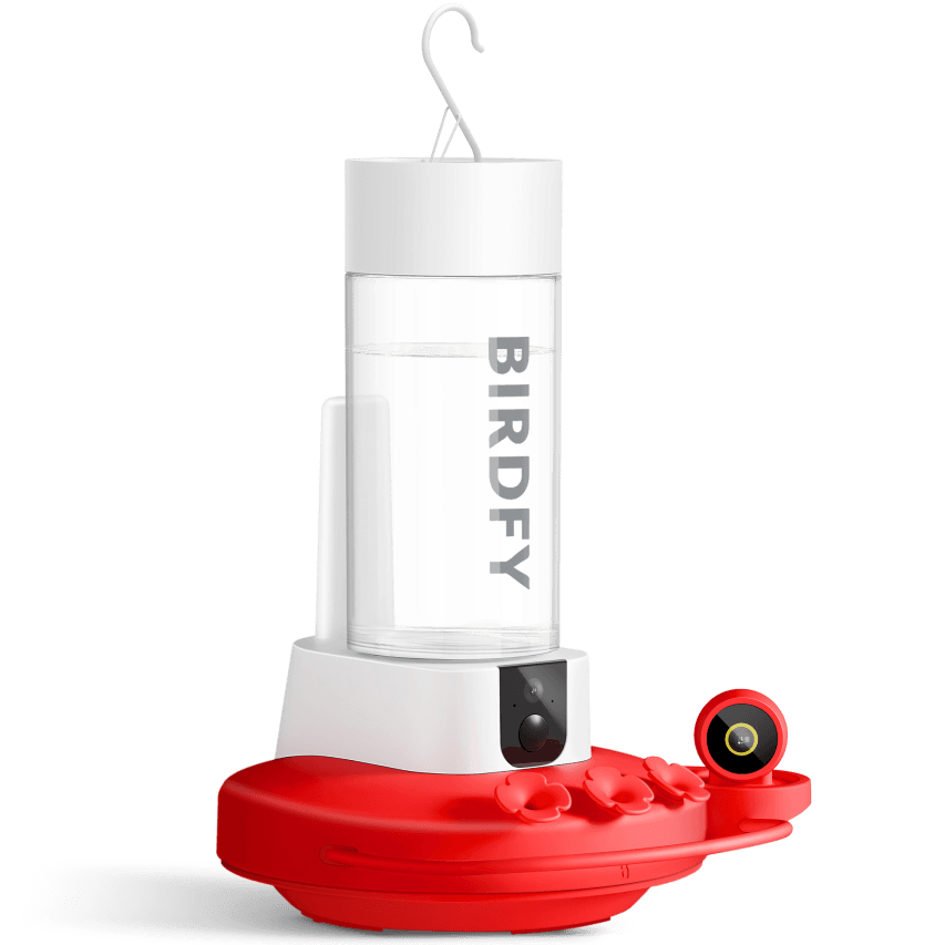 Birdfy Hum Feeder Duo &amp;ndash; Smart Hummingbird Feeder With Dual Cameras