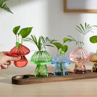 Glasseam Mushroom Plant Propagation Stations: Glass Terrarium Jars With Wood Stand - Unique Hydroponic Planters for Indoor Plants, Office Decor - 5 Pcs