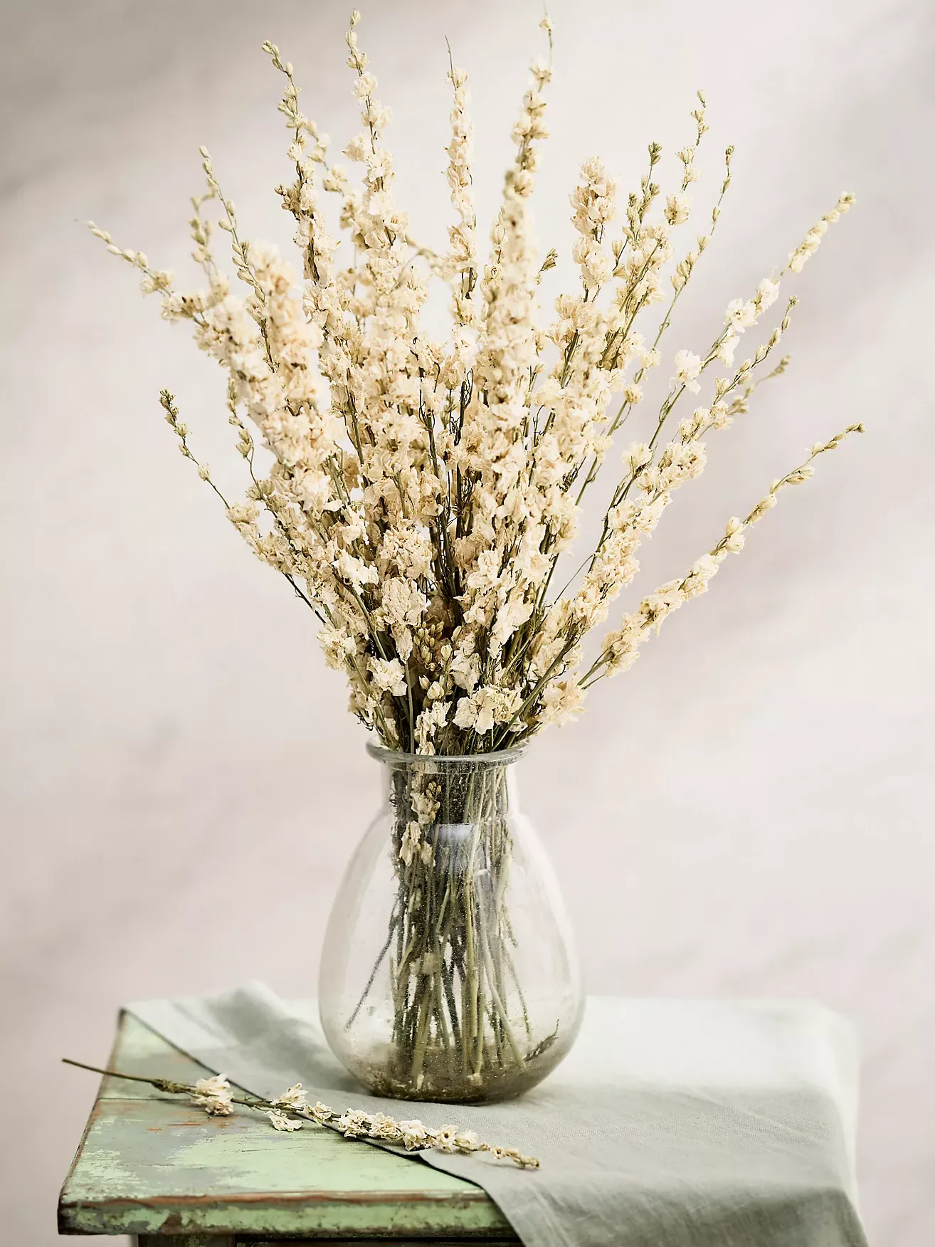 Dried Larkspur Bunch