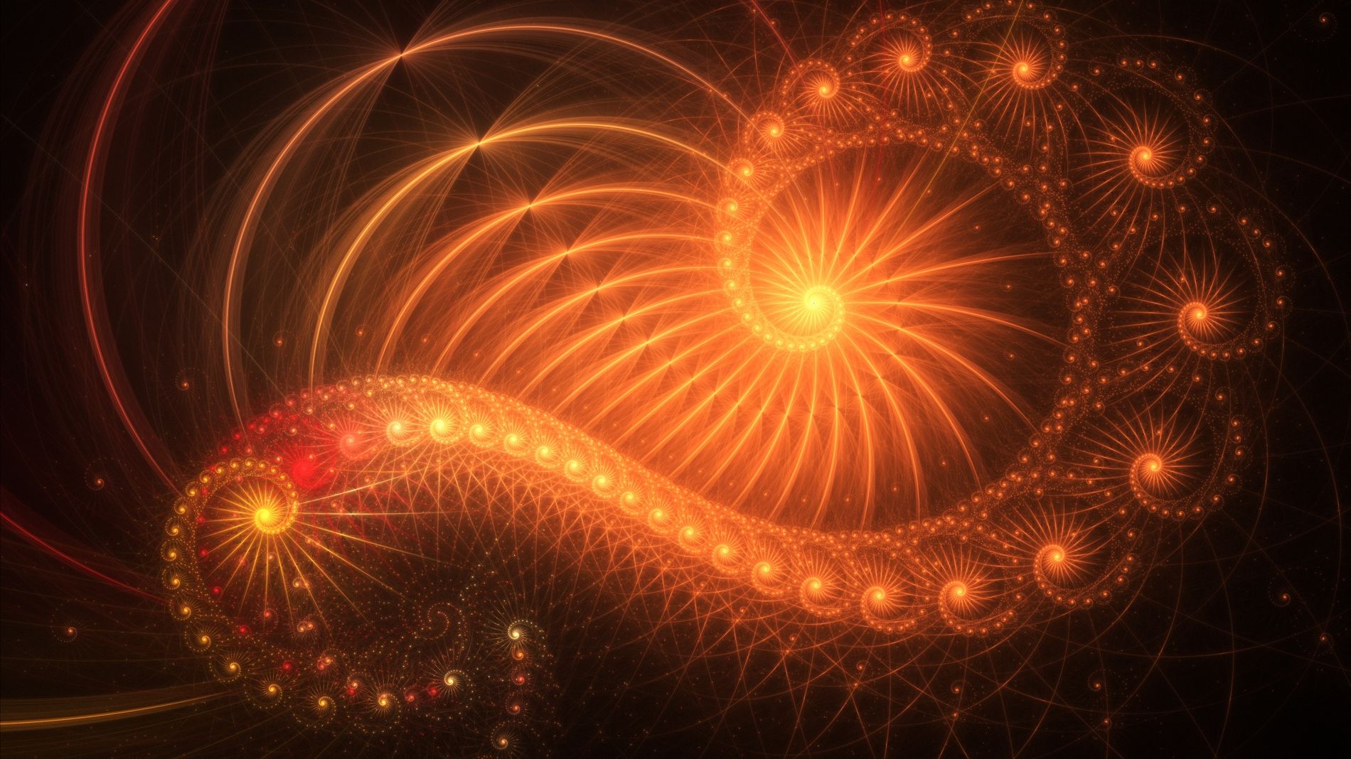 Phi: The Golden Ratio | Live Science