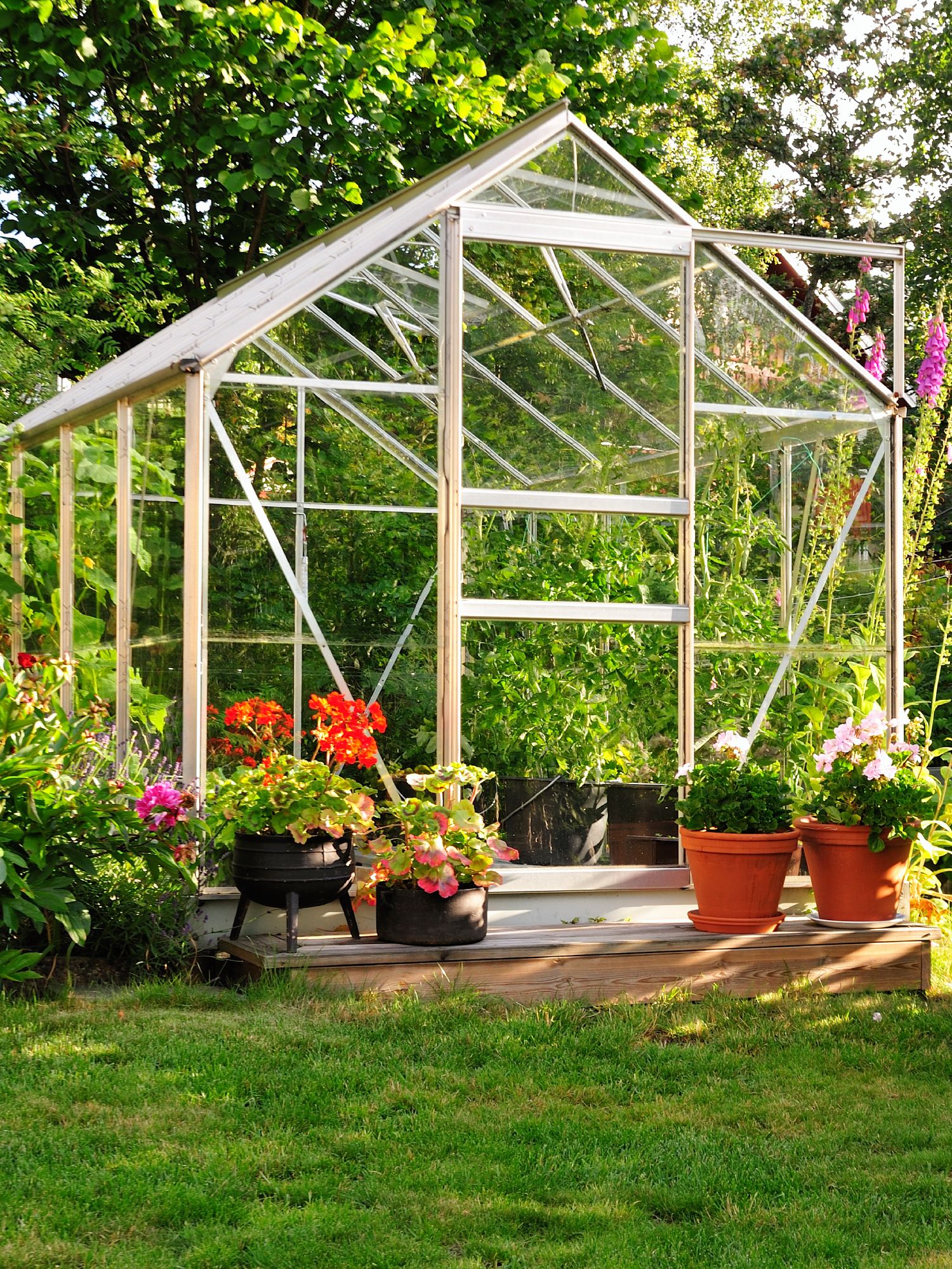 greenhouse in yard surrounded by flowers and lawn