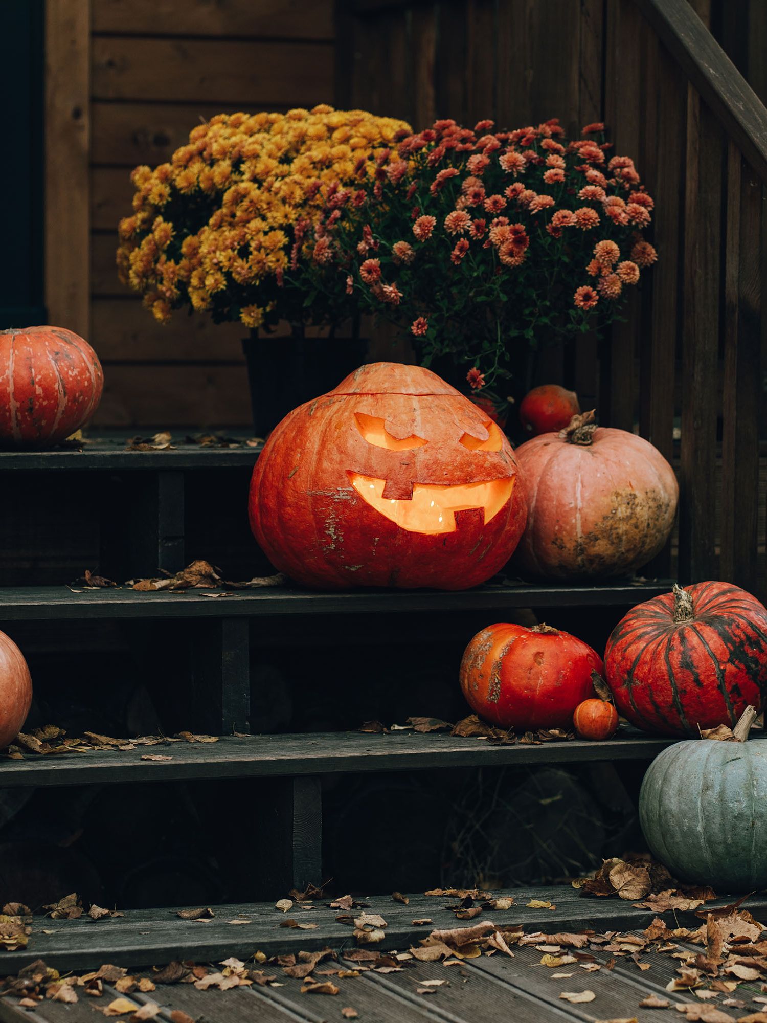Chrysanthemums in a spooky porch display alongside carved Halloween pumpkins