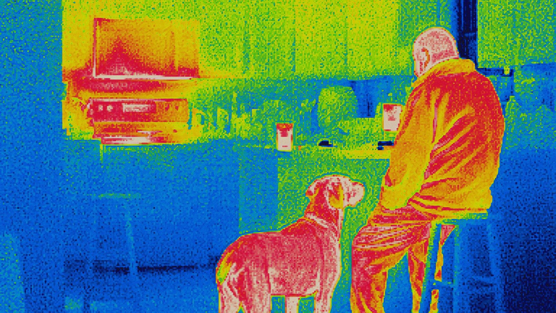 Senior man drinking tea in the kitchen, with the dog, waiting for a treat, in infrared.