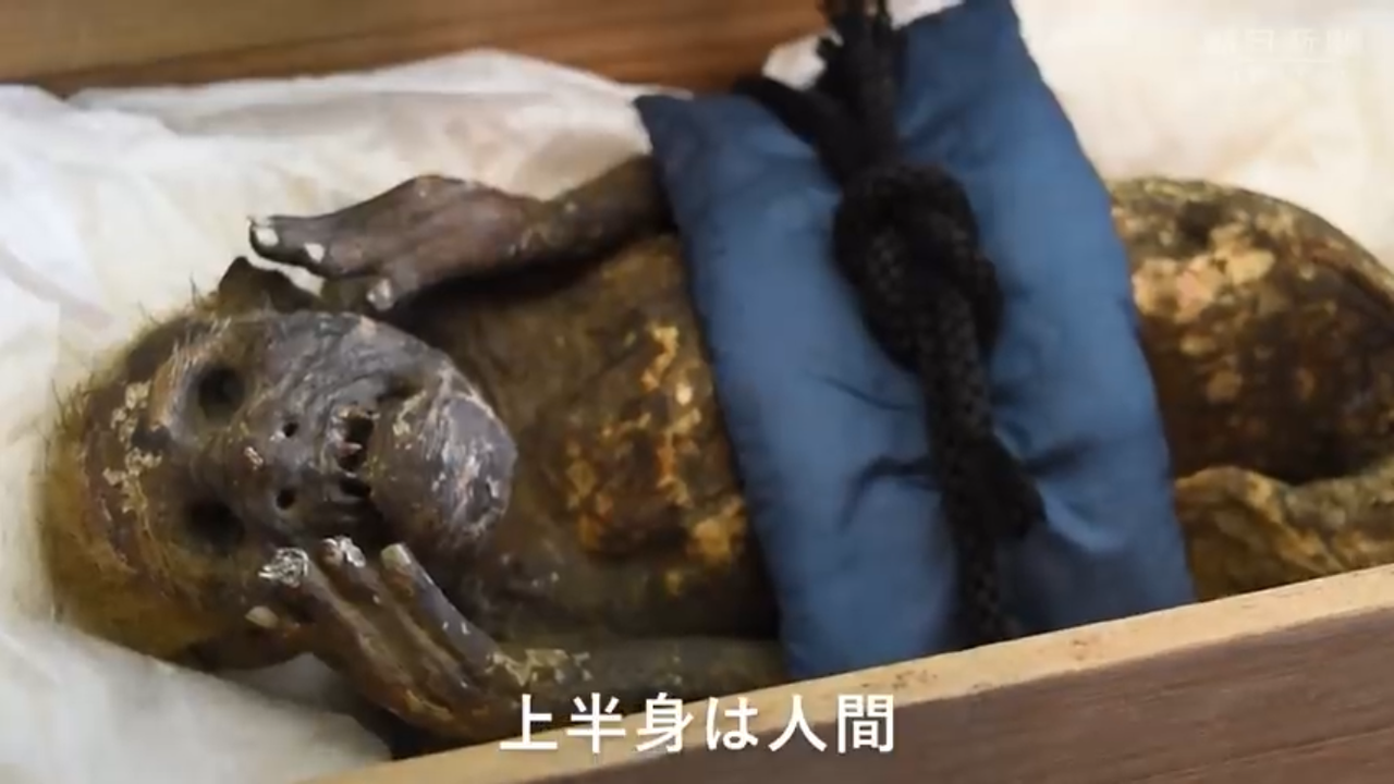 The "mermaid mummy" in its storage box.