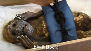 The "mermaid mummy" in its storage box.