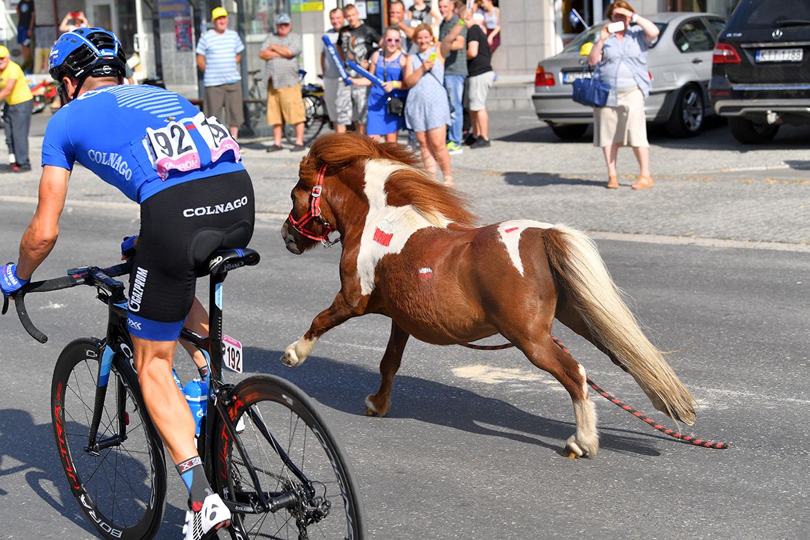 A pony joins the fun at the Tour de Pologne.